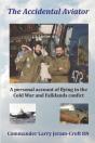 The Accidental Aviator - Preview