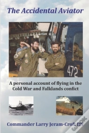 Capa do artigo The Accidental Aviator