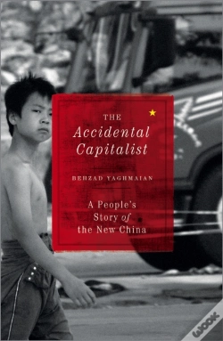Capa do artigo The Accidental Capitalist