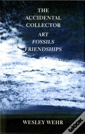 Capa do artigo The Accidental Collector