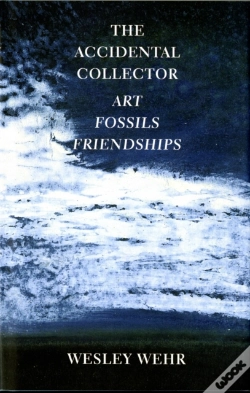 Capa do artigo The Accidental Collector