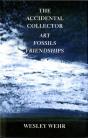 The Accidental Collector - Preview