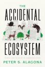 The Accidental Ecosystem - Preview