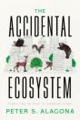 The Accidental Ecosystem - Preview