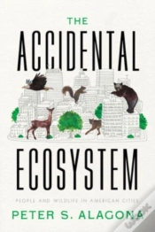 Capa do artigo The Accidental Ecosystem