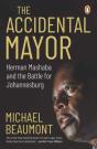 The Accidental Mayor - Preview