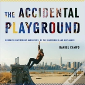 Capa do artigo The Accidental Playground