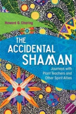 Capa do artigo The Accidental Shaman