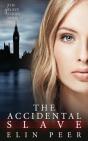 The Accidental Slave:  Aya'S Story - Preview