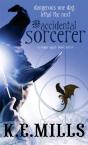 The Accidental Sorcerer - Preview
