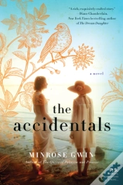 Capa do artigo The Accidentals