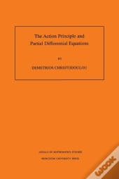The Action Principle And Partial Differential Equations