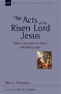 The Acts Of The Risen Lord Jesus - Preview