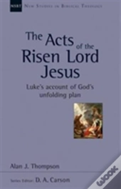 The Acts Of The Risen Lord Jesus