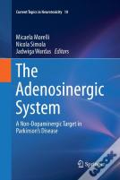 The Adenosinergic System