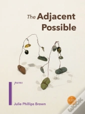 The Adjacent Possible