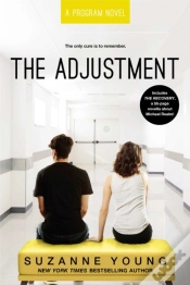 Capa do artigo The Adjustment