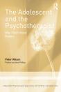 The Adolescent And The Psychotherapist - Preview