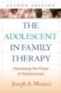 The Adolescent In Family Therapy, Second Edition - Preview