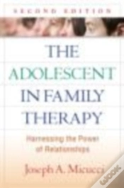 Capa do artigo The Adolescent In Family Therapy, Second Edition