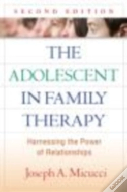 Capa do artigo The Adolescent In Family Therapy, Second Edition