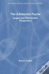 The Adolescent Psyche