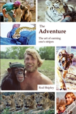 Capa do artigo The Adventure