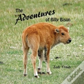 The Adventures Of Billy Bison