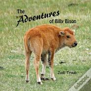 The Adventures Of Billy Bison