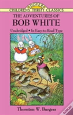 Capa do artigo The Adventures Of Bob White