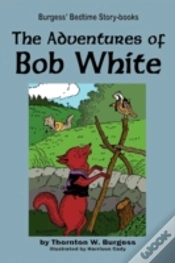 Capa do artigo The Adventures Of Bob White