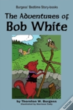 Capa do artigo The Adventures Of Bob White