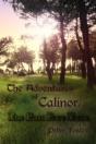 The Adventures Of Calinor / The Lost Pix - Preview