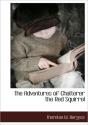 The Adventures Of Chatterer The Red Squi - Preview