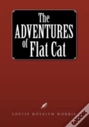 Capa do artigo The Adventures Of Flat Cat