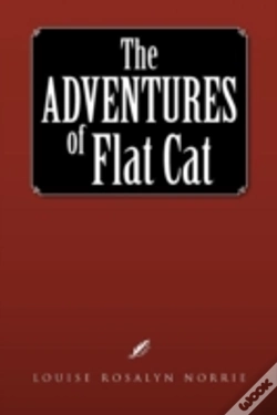 Capa do artigo The Adventures Of Flat Cat