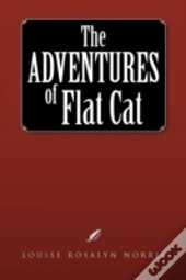 The Adventures Of Flat Cat
