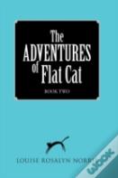 The Adventures Of Flat Cat