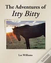 Capa do artigo The Adventures Of Itty Bitty