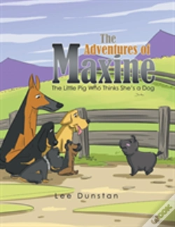 Capa do artigo The Adventures Of Maxine