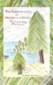 Capa do artigo The Adventures Of Morgan And Malyk