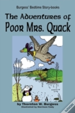 Capa do artigo The Adventures Of Poor Mrs. Quack