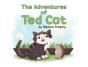 The Adventures Of Ted Cat - Preview