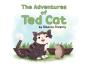 The Adventures Of Ted Cat - Preview