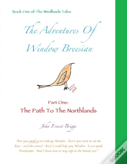 Capa do artigo The Adventures Of Window Breesian   Part