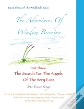 Capa do artigo The Adventures Of Window Breesian   Part