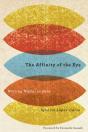 The Affinity Of The Eye - Preview