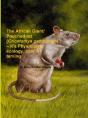 The African Giant/Pouched Rat (Cricetomys Gambianus) - It'S Physiology, Ecology, Care & Taming - Preview