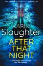 The After That Night - Preview
