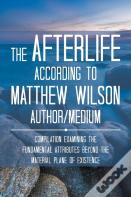 The Afterlife According To Matthew Wilson Author/Medium
